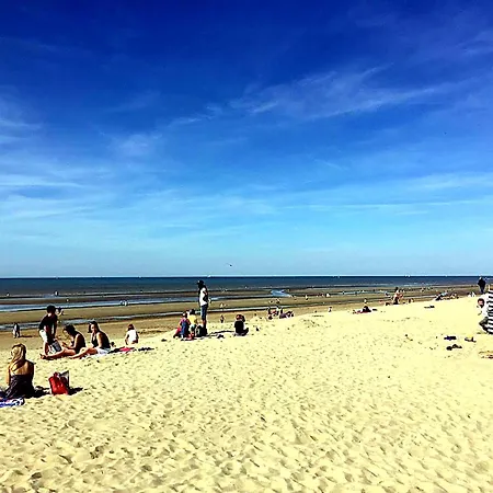 Sparrow I De 72m2 Lejlighed Koksijde